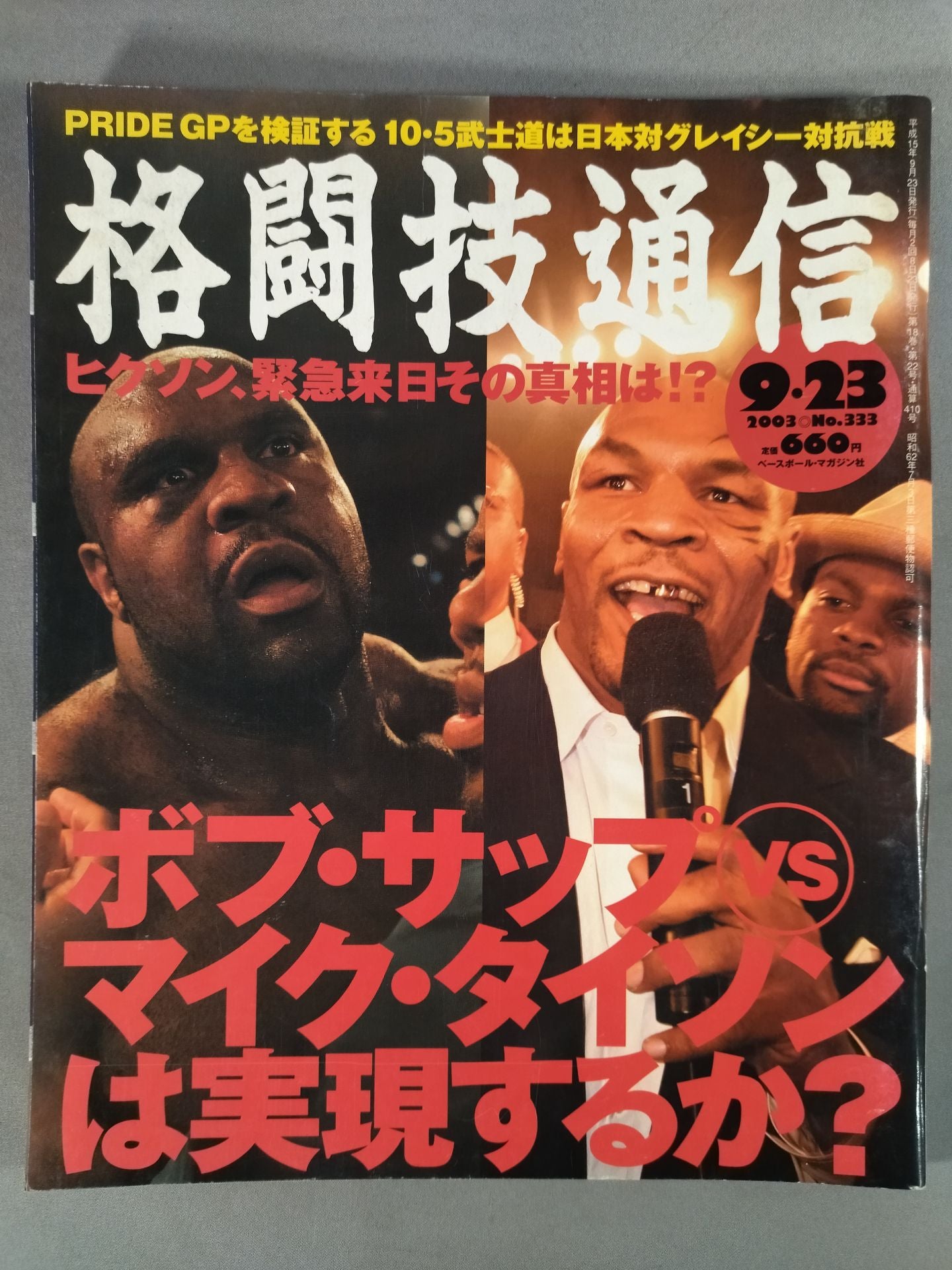 Martial Arts Communication 333