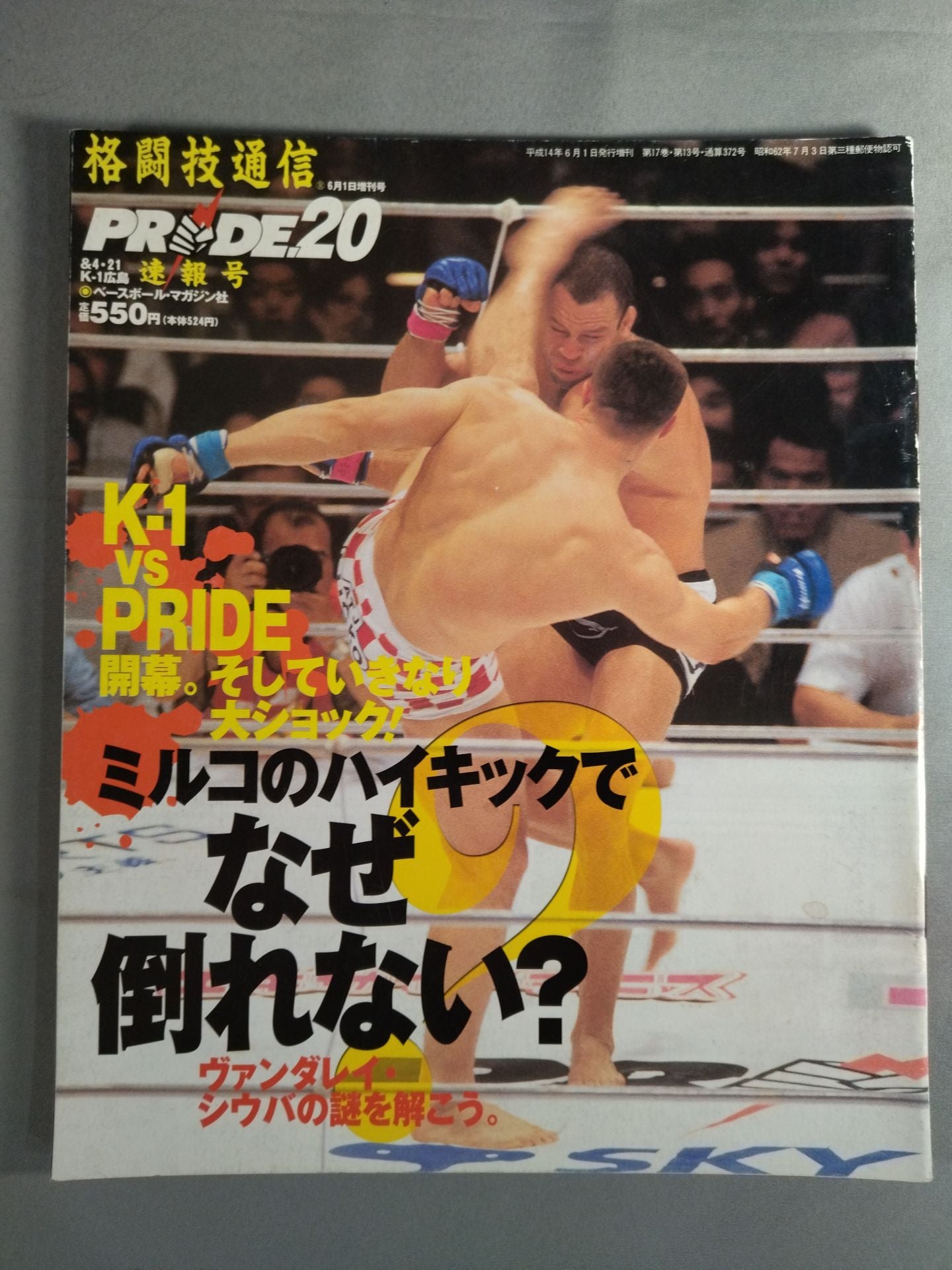 Martial Arts Newsletter Supplement 372