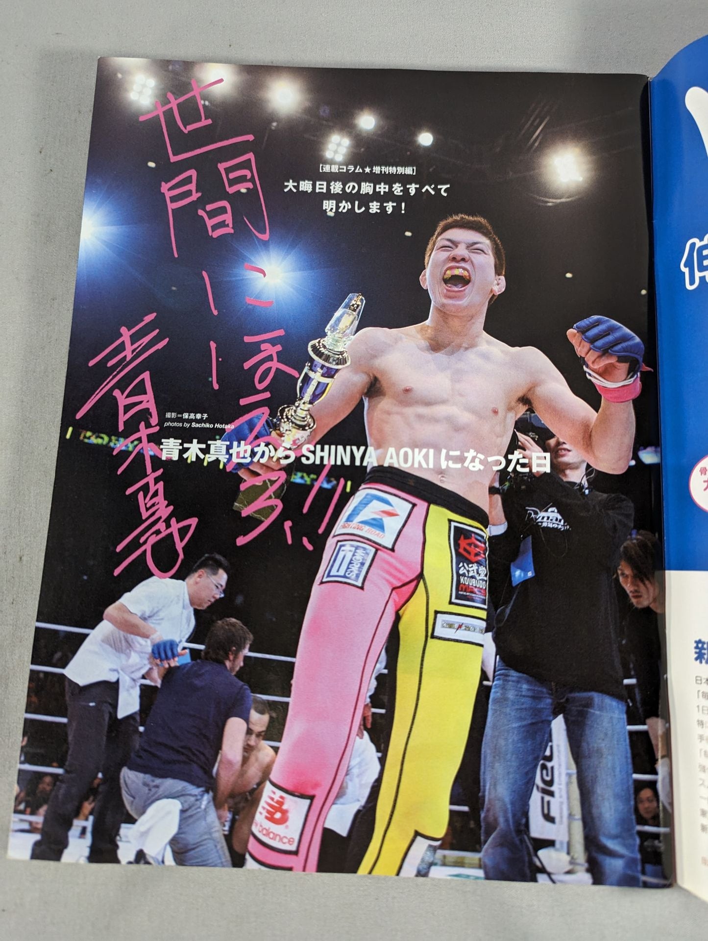 Martial Arts Newsletter Special Issue 552