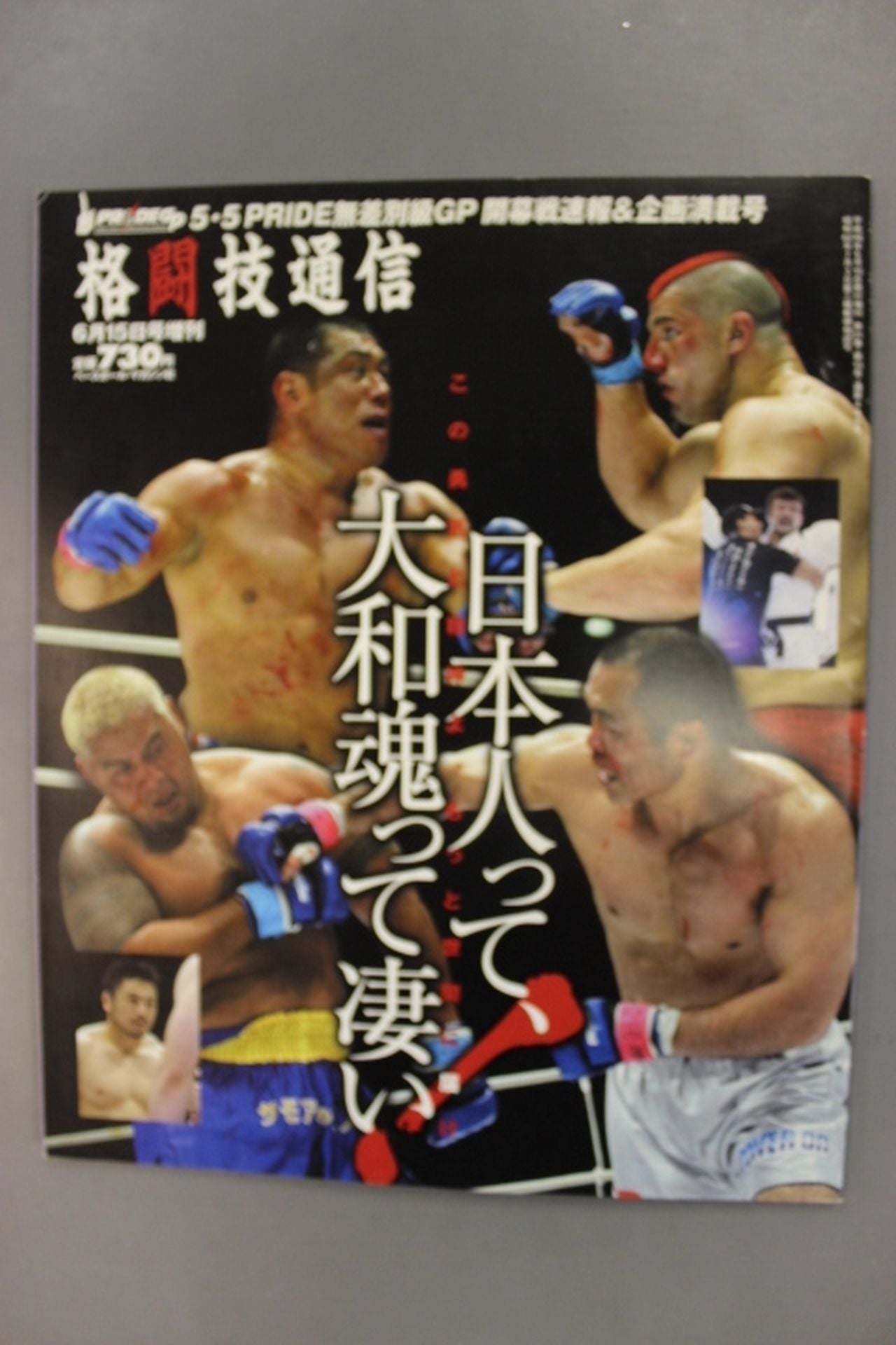 格闘技通信増刊490