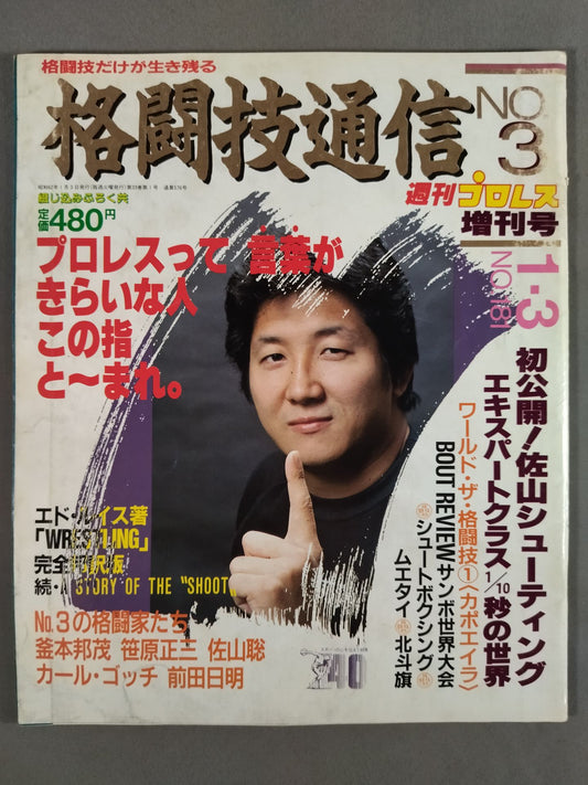 格闘技通信3(週刊プロレス181)