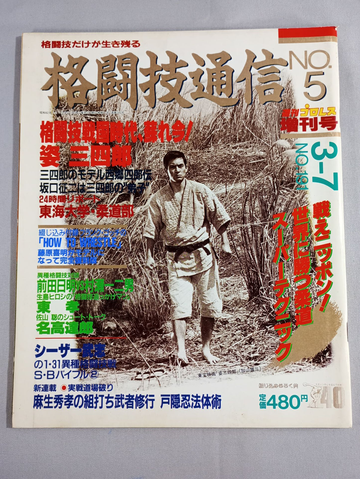 格闘技通信5(週刊プロレス191)
