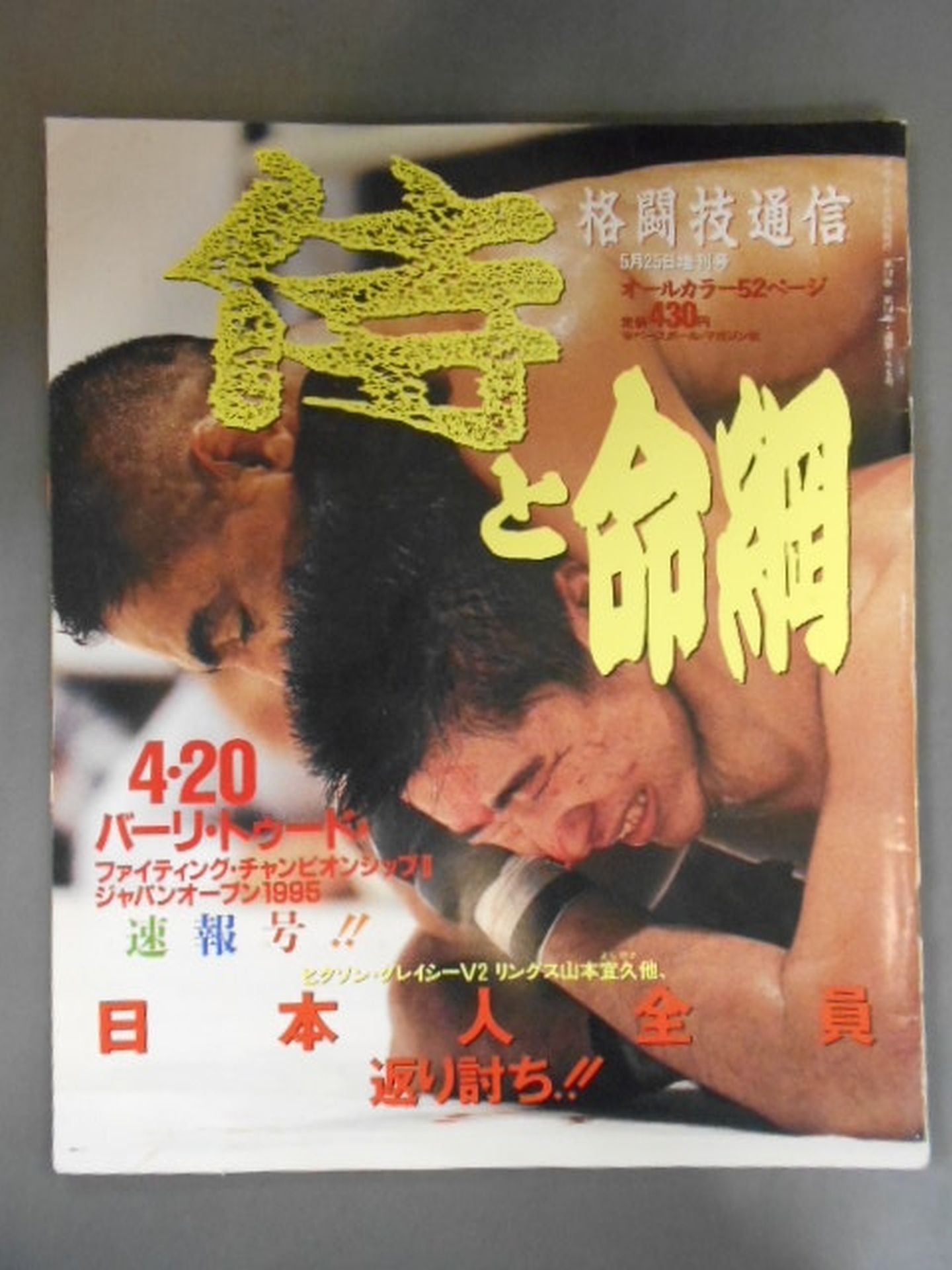 格闘技通信増刊166