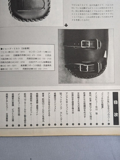 格闘技通信1(週刊プロレス171)