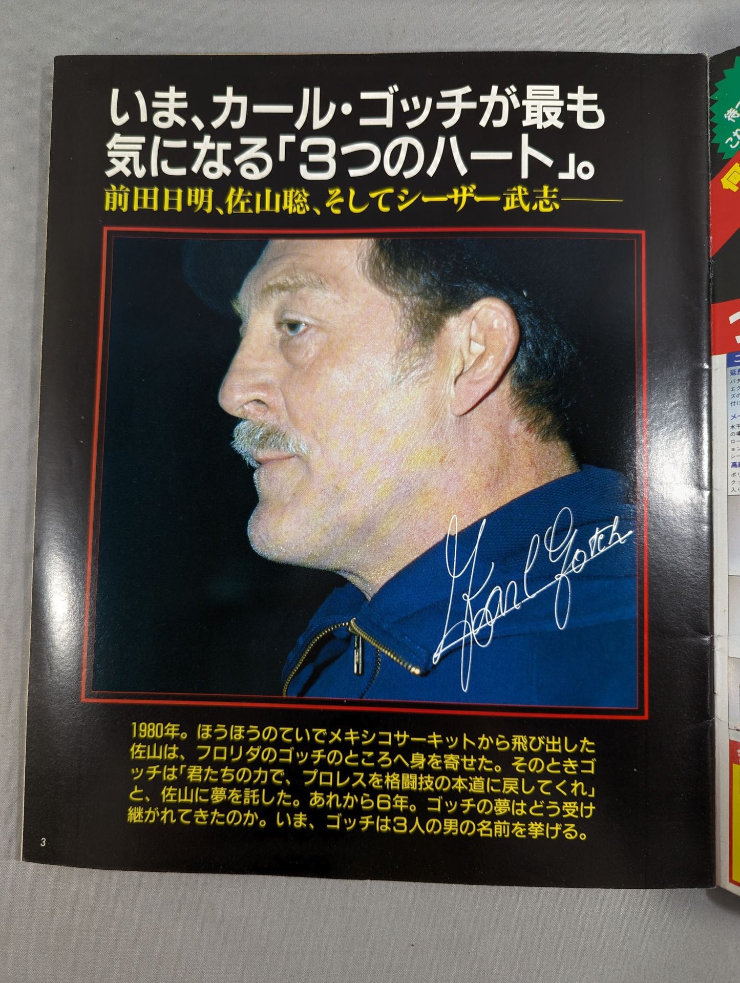 格闘技通信1(週刊プロレス171)