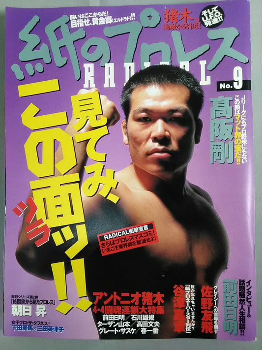 paper Pro Wrestling RADICAL9