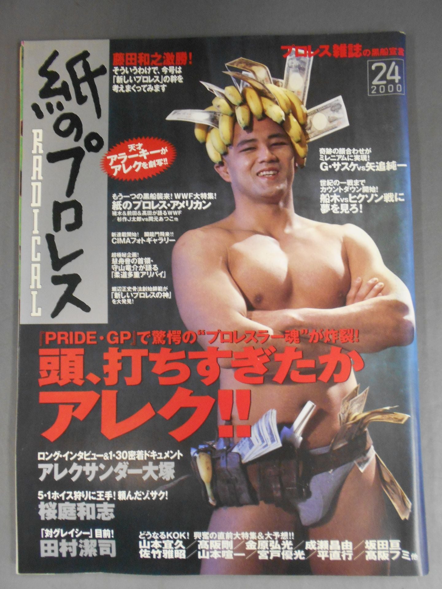 Paper Pro Wrestling RADICAL24