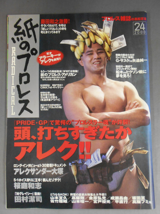 Paper Pro Wrestling RADICAL24