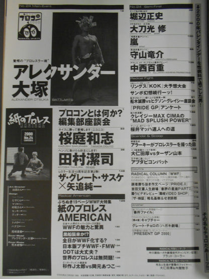 Paper Pro Wrestling RADICAL24