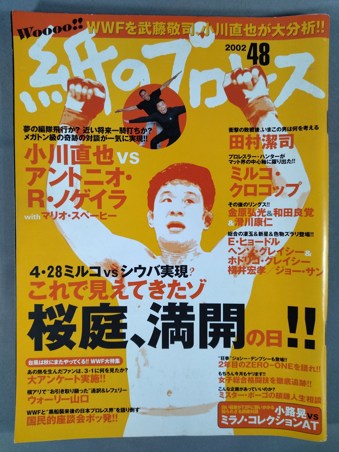 Paper Pro Wrestling RADICAL48