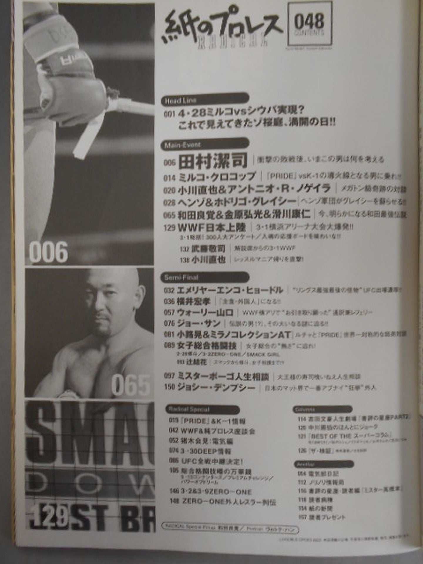 Paper Pro Wrestling RADICAL48