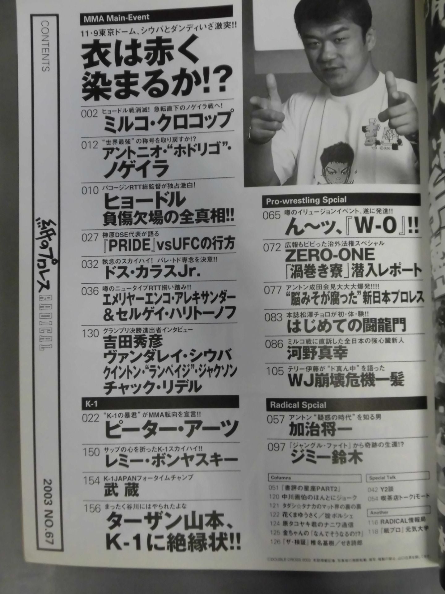 Paper Pro Wrestling RADICAL67