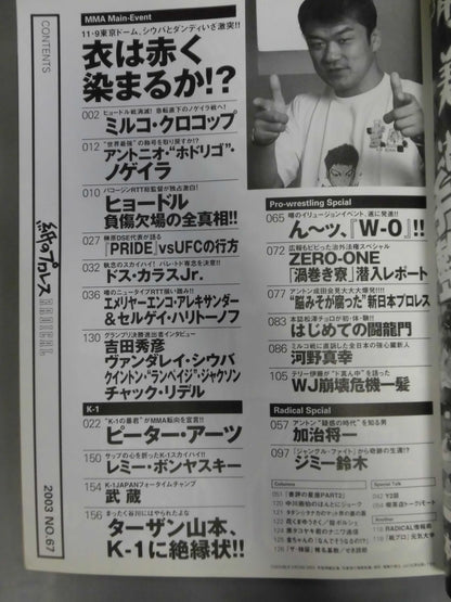 Paper Pro Wrestling RADICAL67