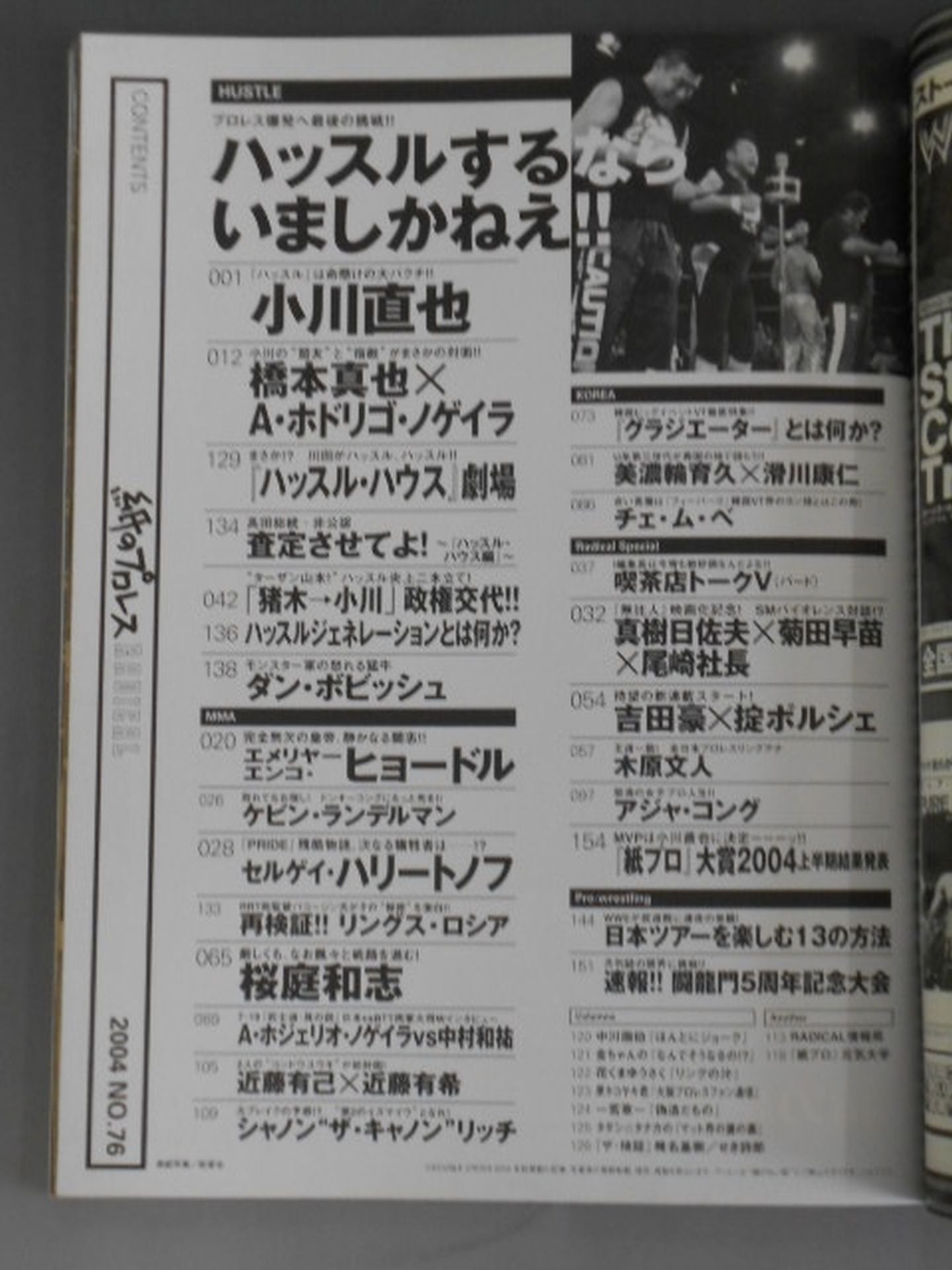 Paper Pro Wrestling RADICAL76