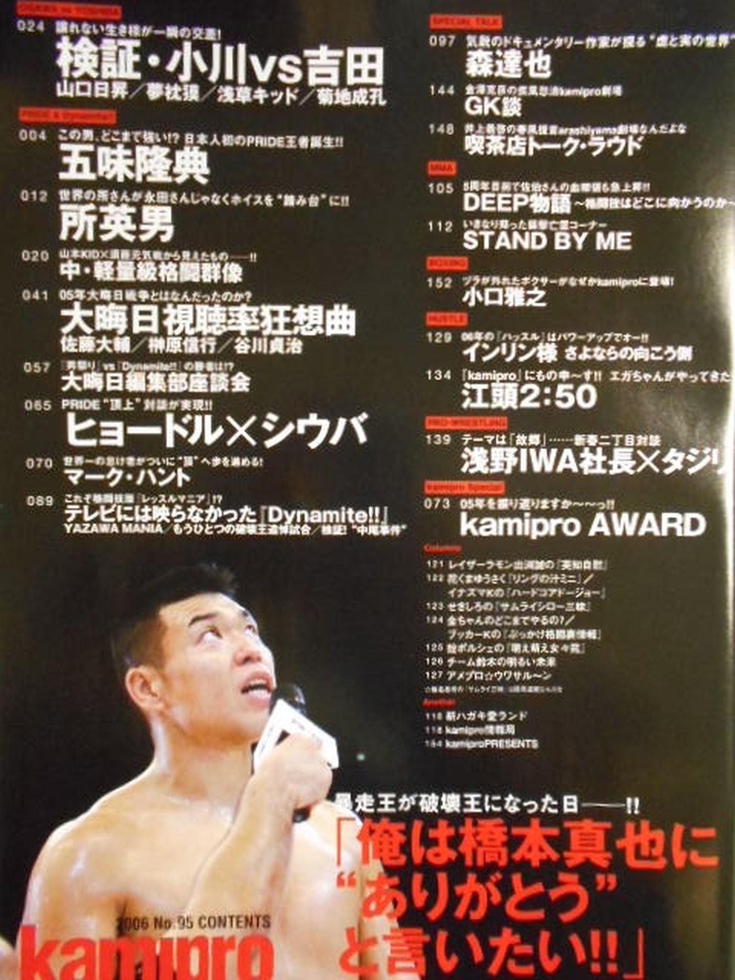 Paper Pro Wrestling RADICAL95