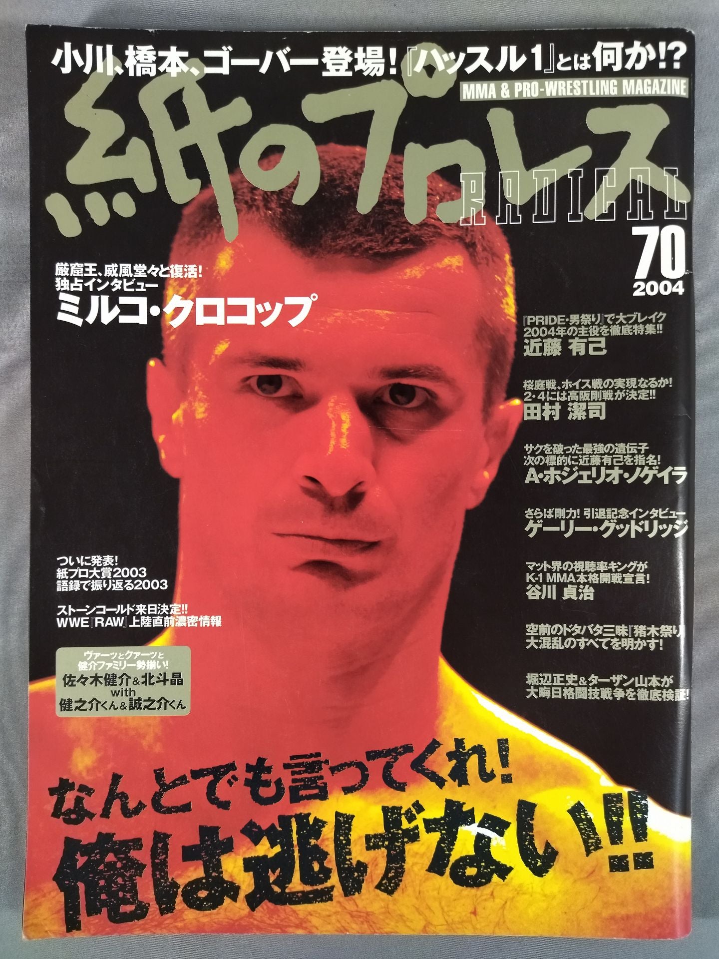 Paper Pro Wrestling RADICAL70