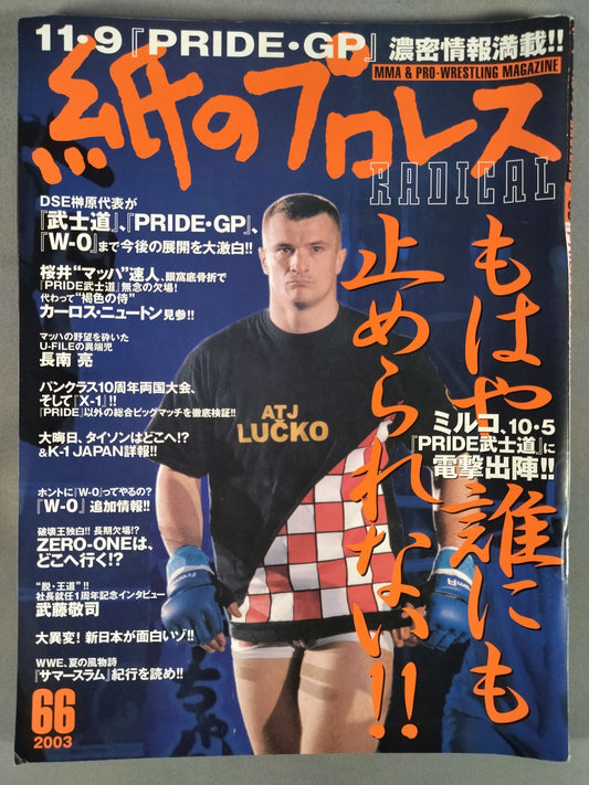 Paper Pro Wrestling RADICAL66