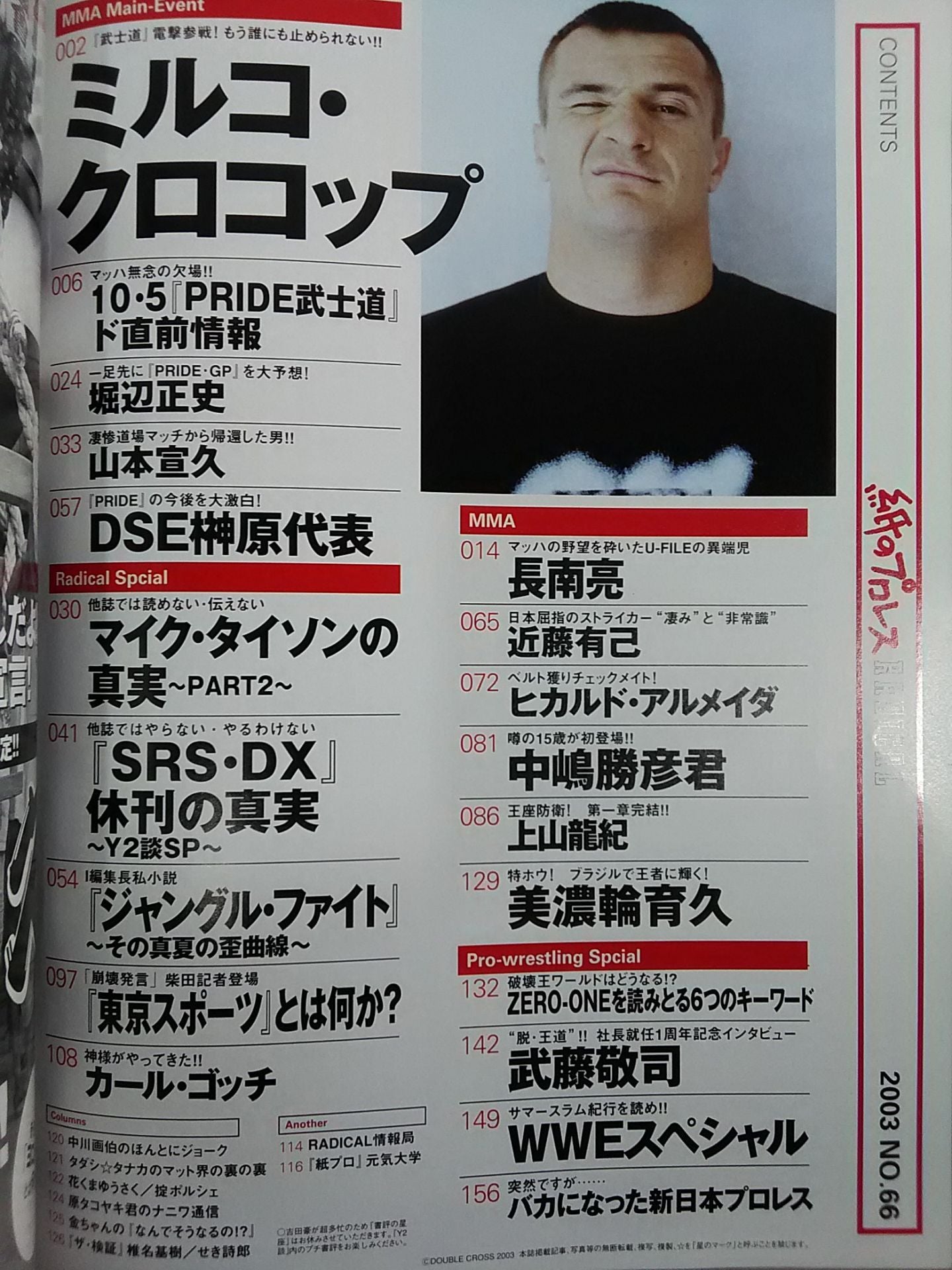Paper Pro Wrestling RADICAL66
