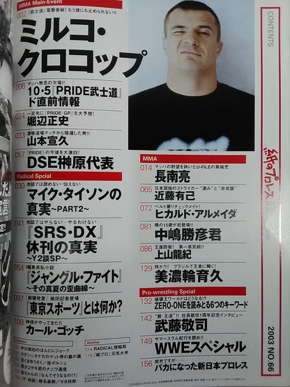 Paper Pro Wrestling RADICAL66