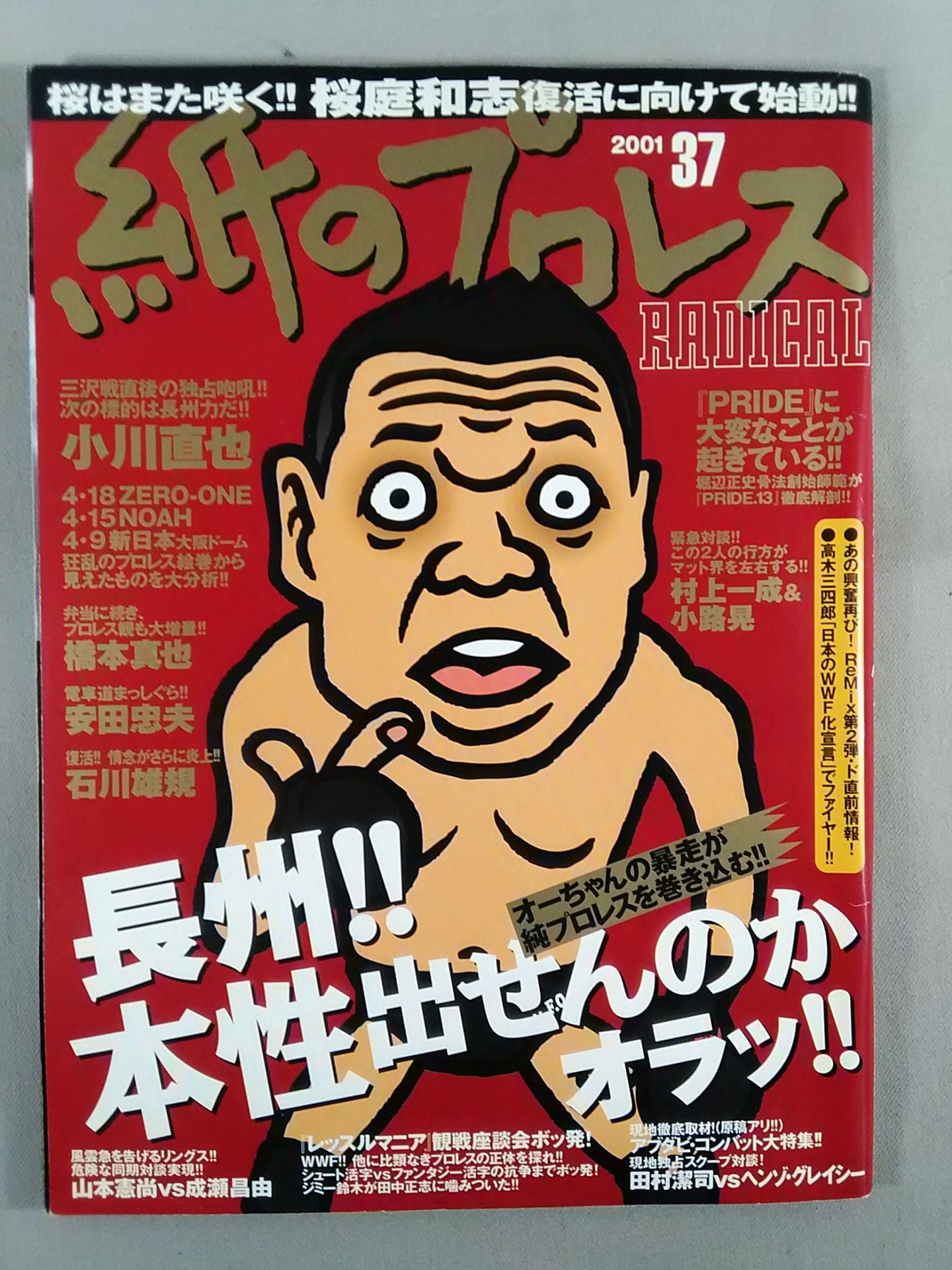 paper Pro Wrestling RADICAL37