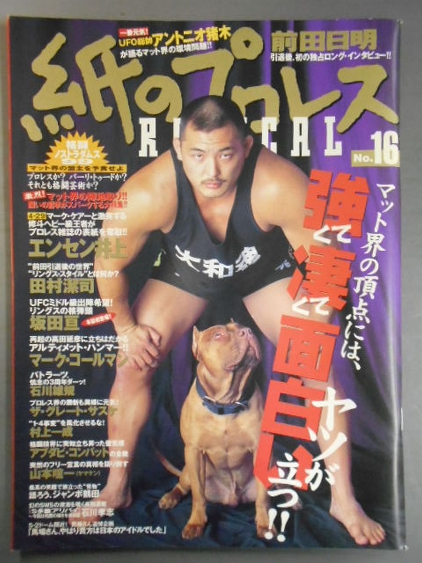 Paper Pro Wrestling RADICAL16