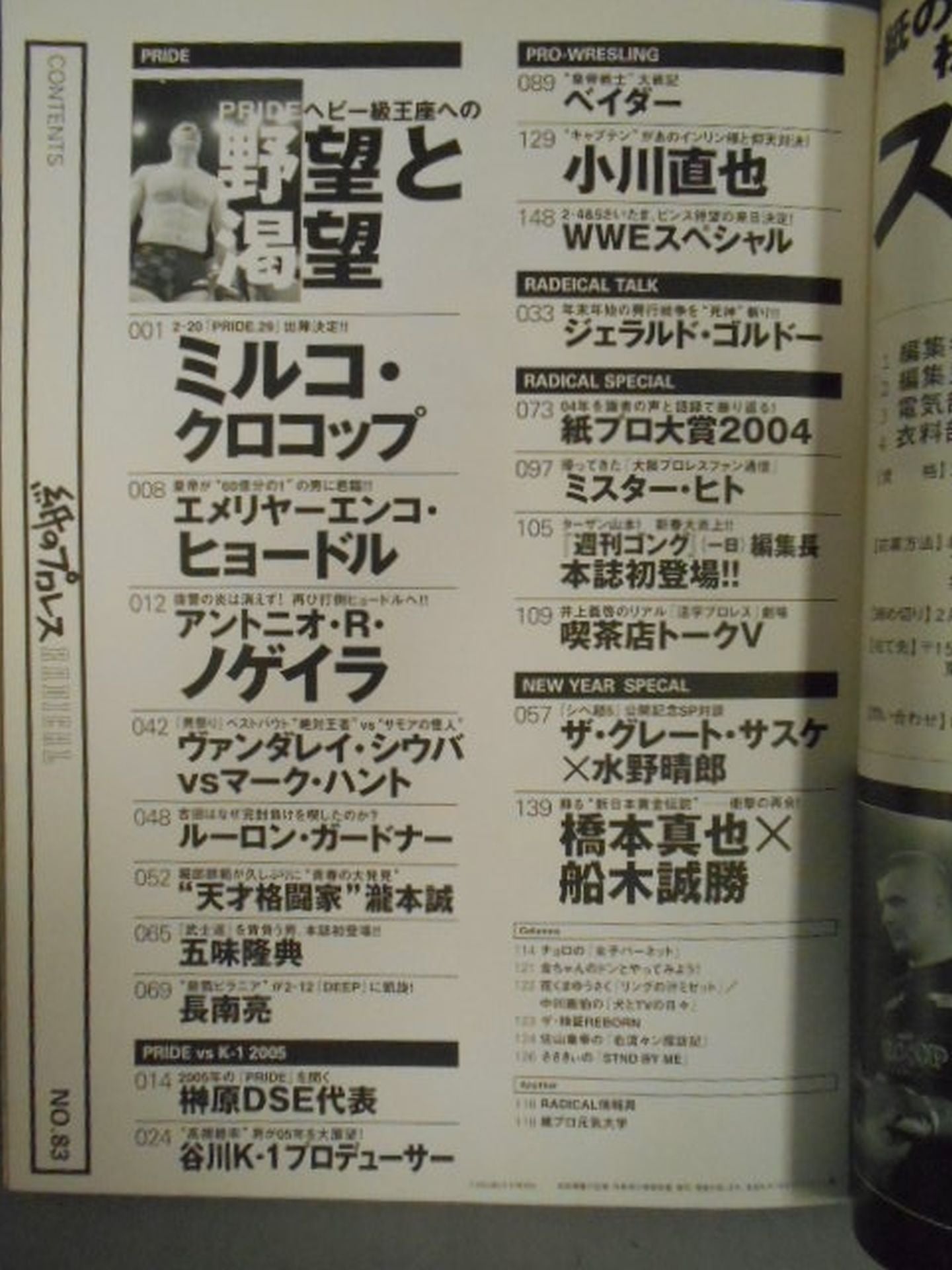 Paper Pro Wrestling RADICAL83