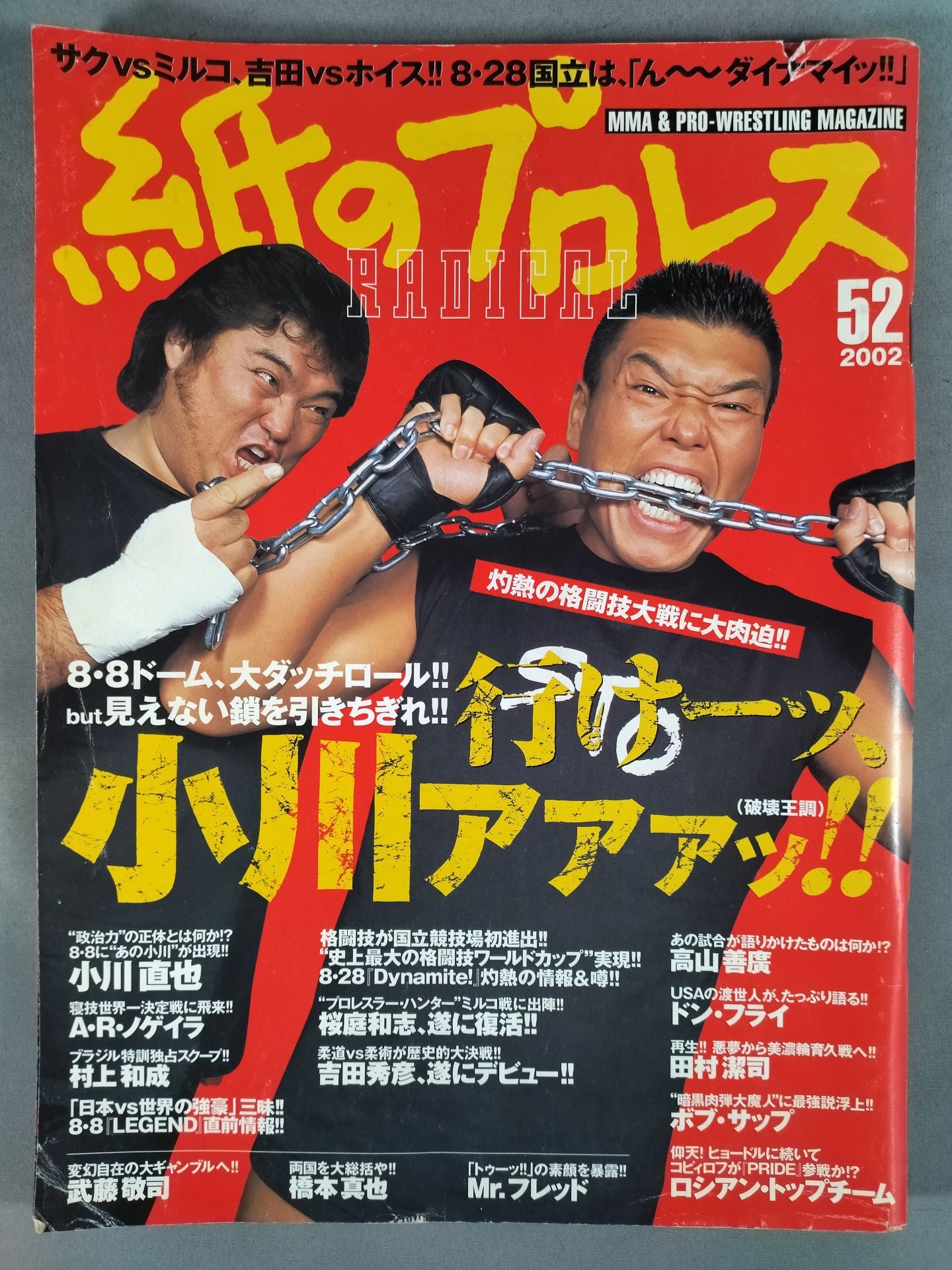 paper Pro Wrestling RADICAL52