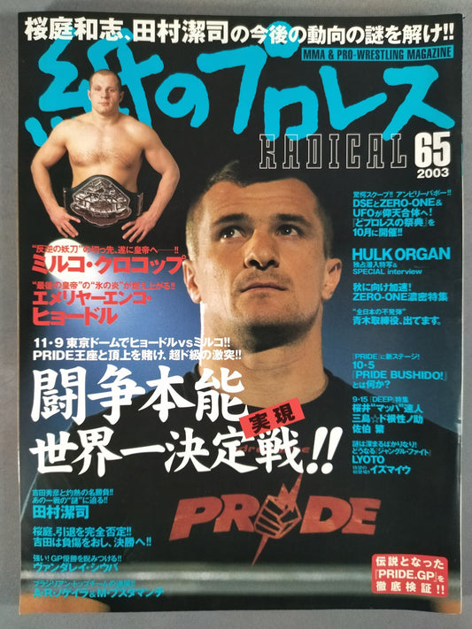 Paper Pro Wrestling RADICAL65
