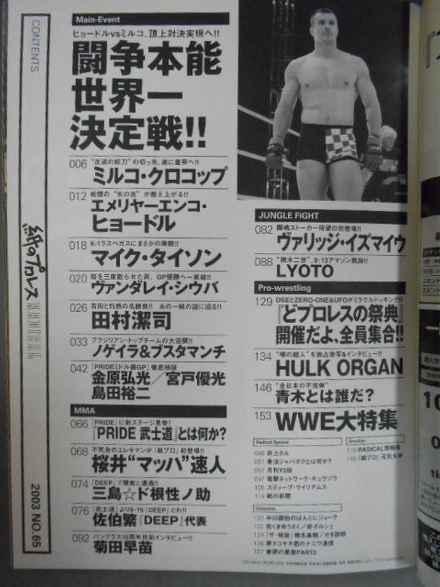 Paper Pro Wrestling RADICAL65