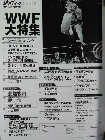 paper Pro Wrestling RADICAL47