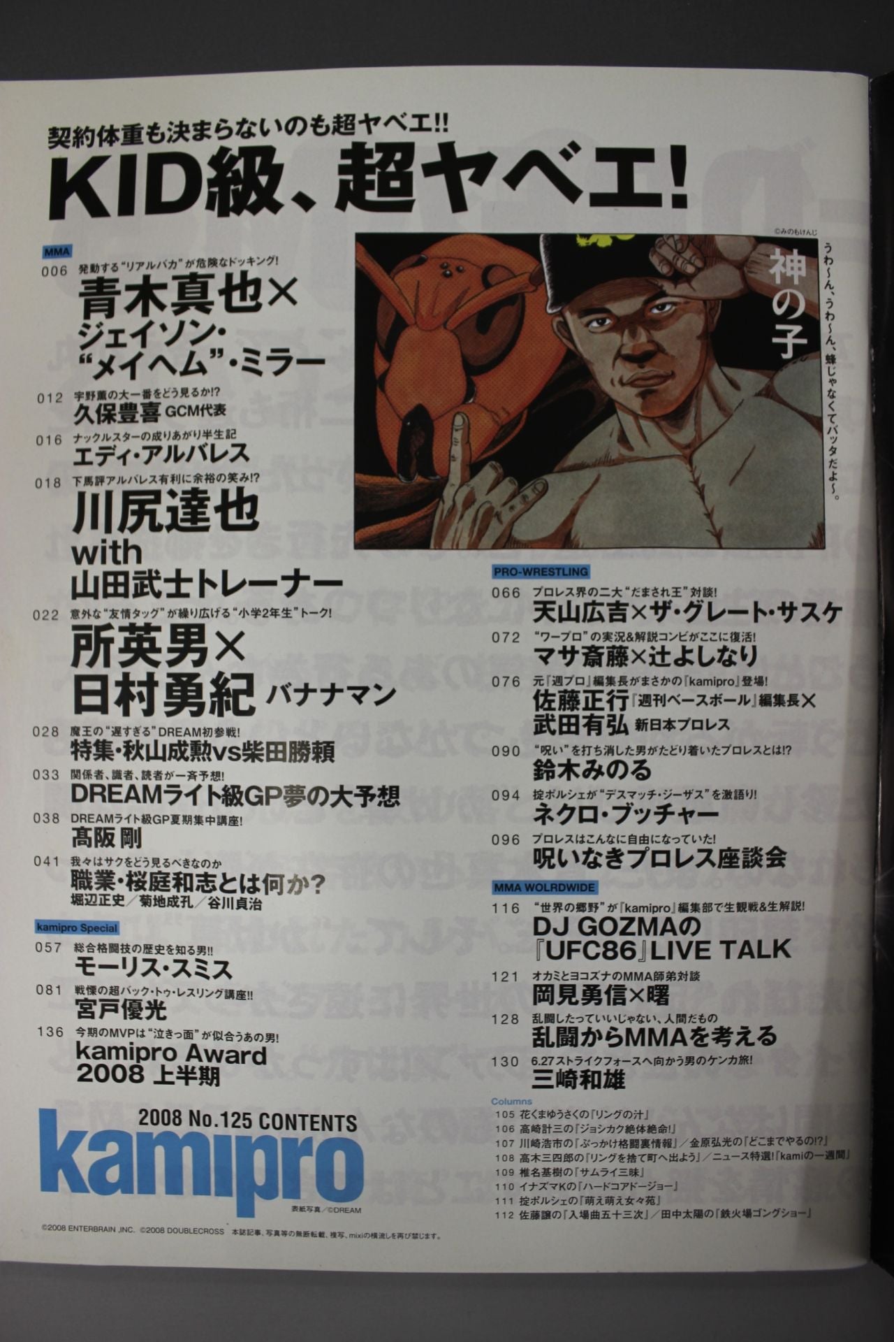 Paper Pro Wrestling RADICAL125