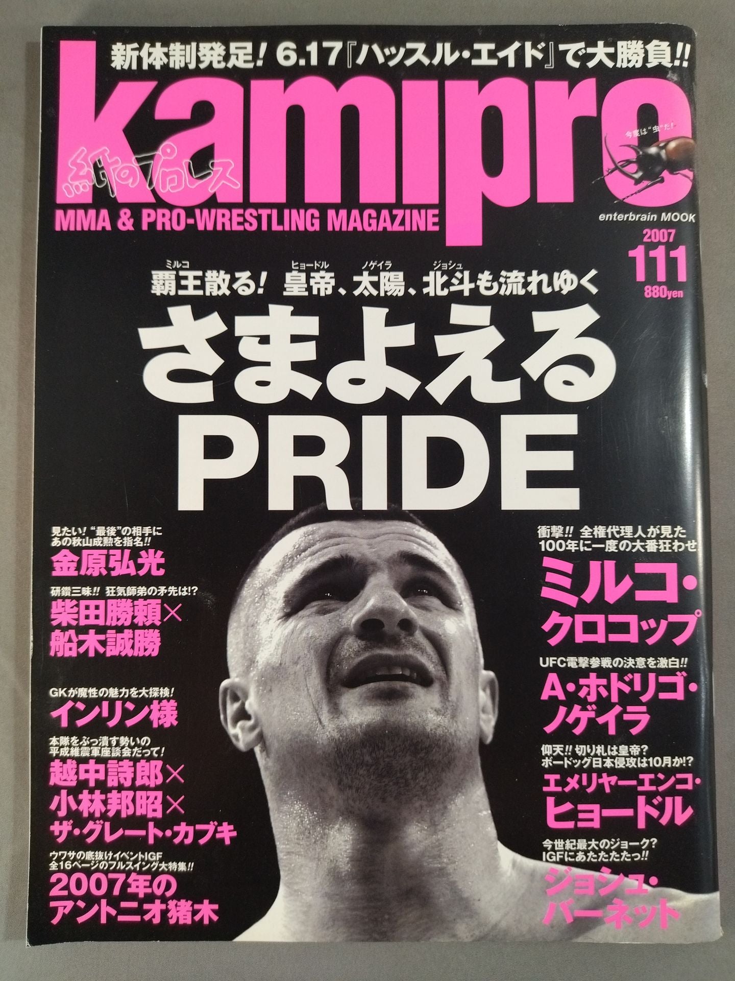 Paper Pro Wrestling RADICAL111