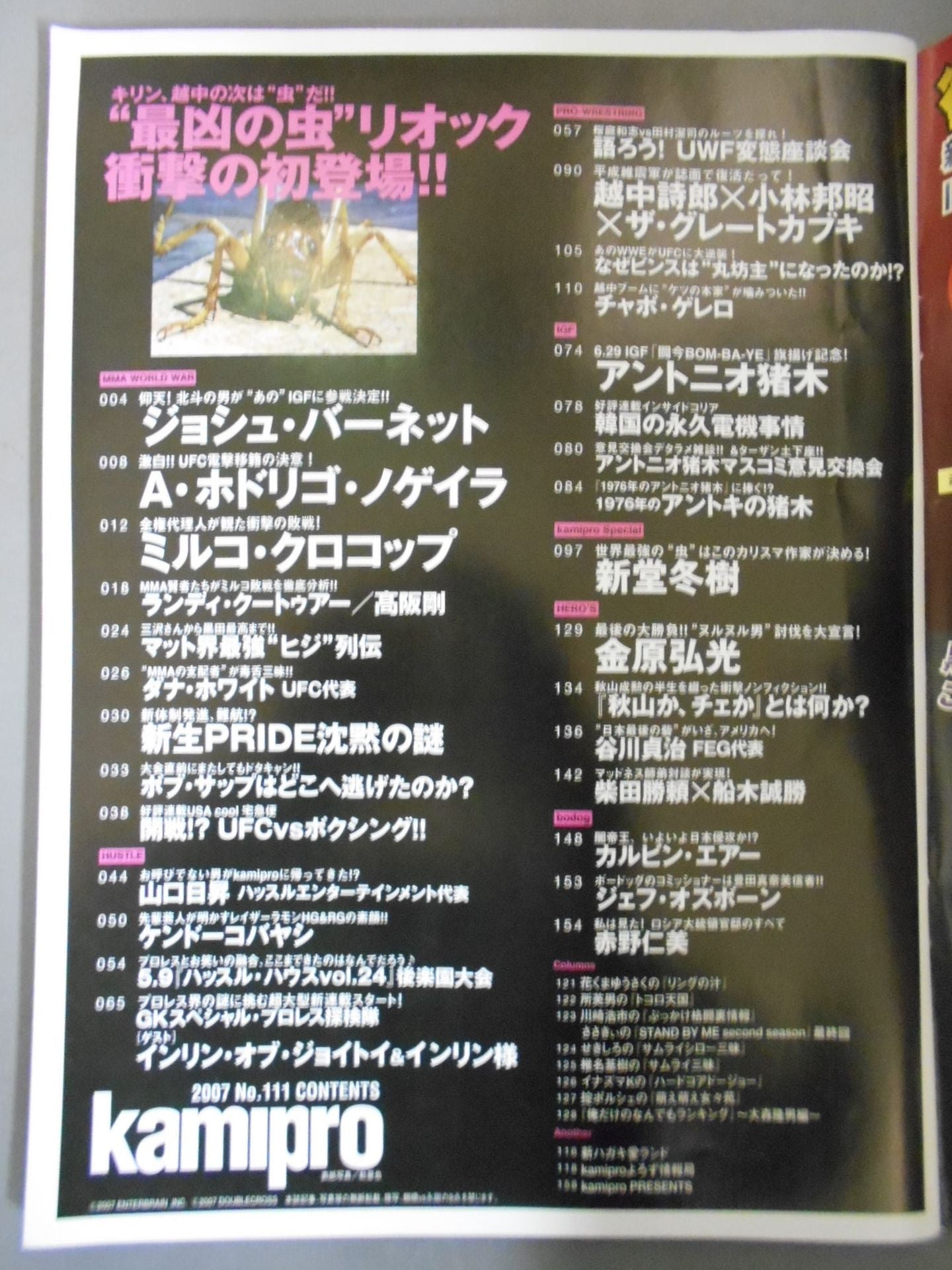 Paper Pro Wrestling RADICAL111