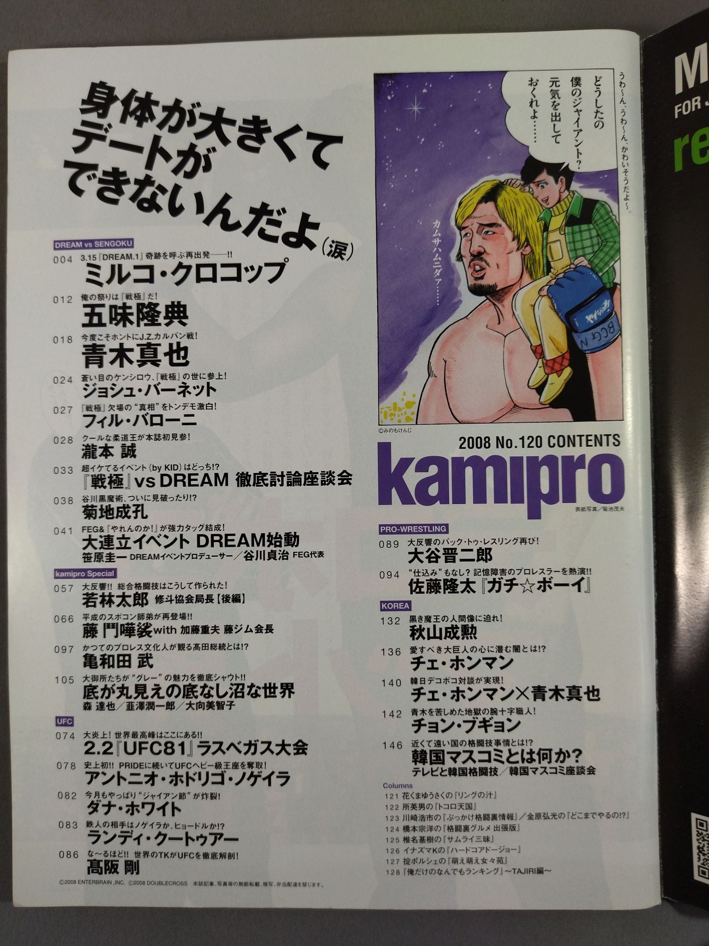 Paper Pro Wrestling RADICAL120