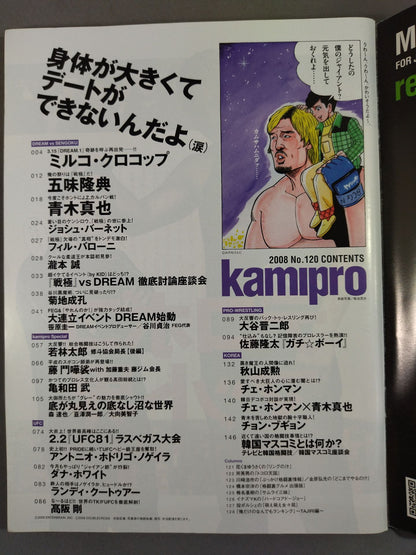Paper Pro Wrestling RADICAL120