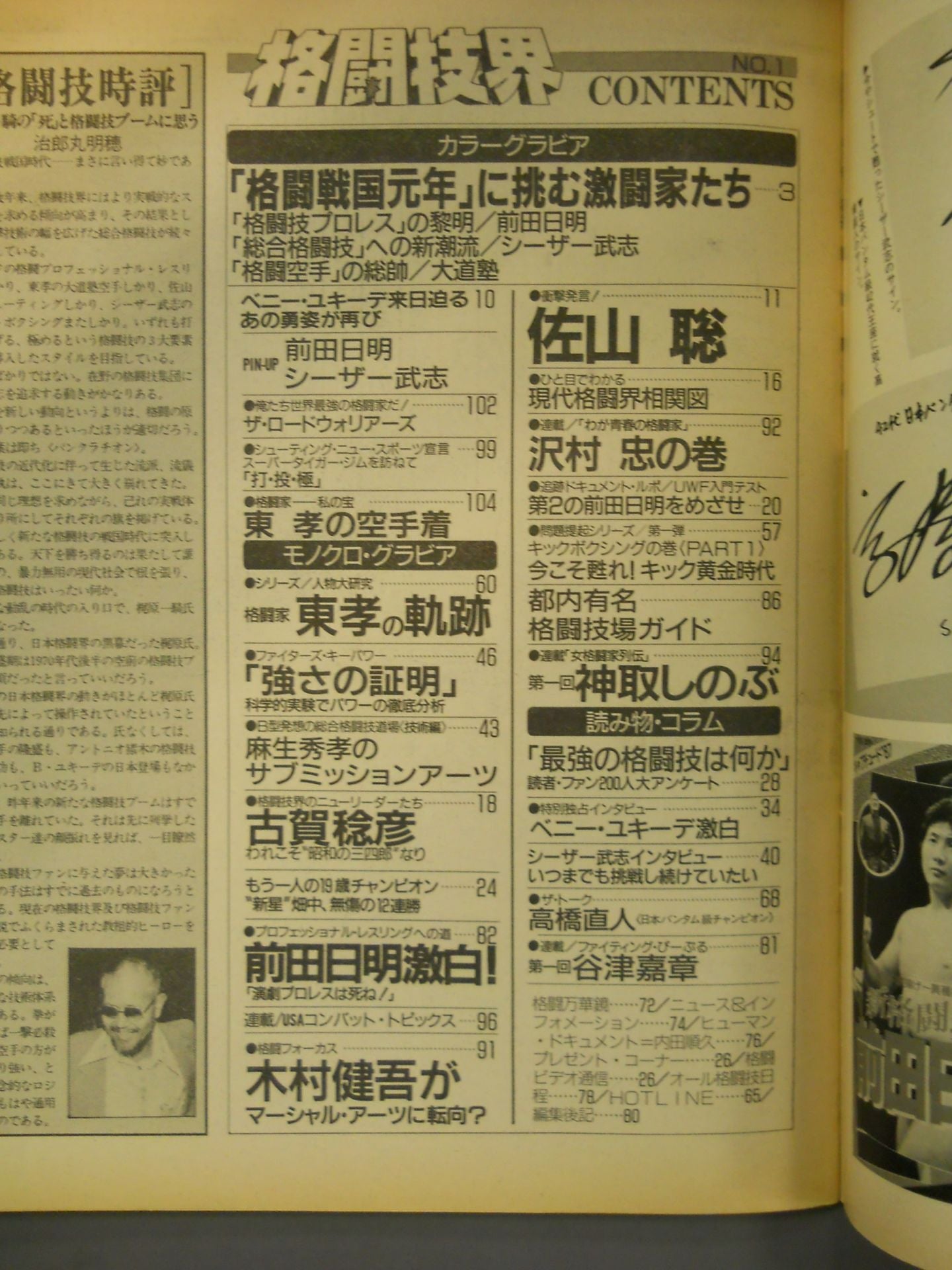 Martial arts world 1