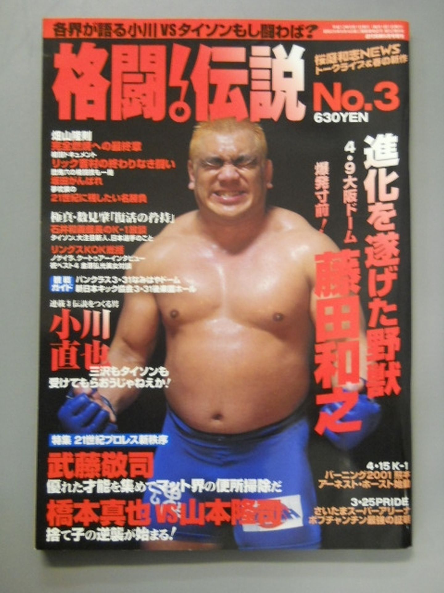 Fighting Legend 3