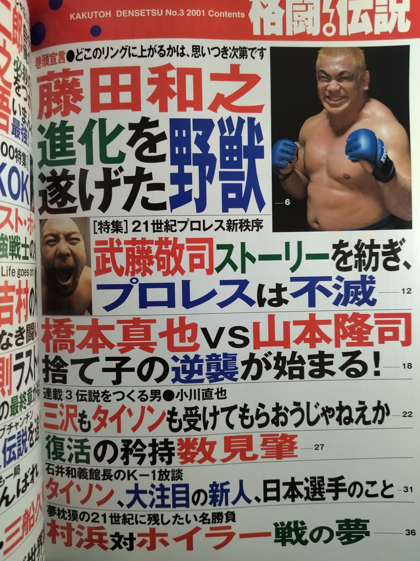 Fighting Legend 3