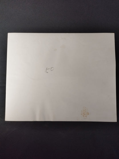 Mas Oyama (Masutatsu Oyama)  & Shigeru Oyama & Tadashi Nakamura Black and Whitephoto 