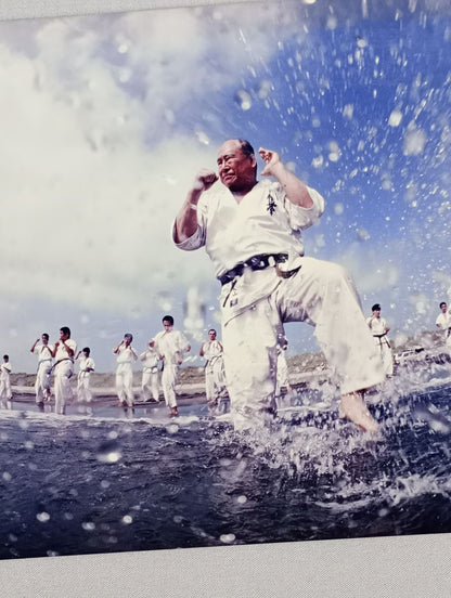 Mas Oyama (Masutatsu Oyama)  photo  (5)