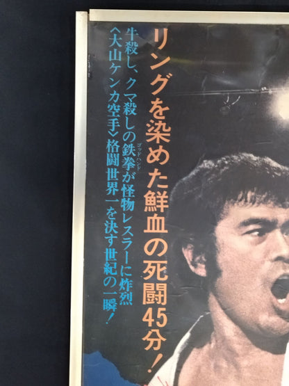 Movie Karate for Life (Karate Baka Ichidai)  poster panel