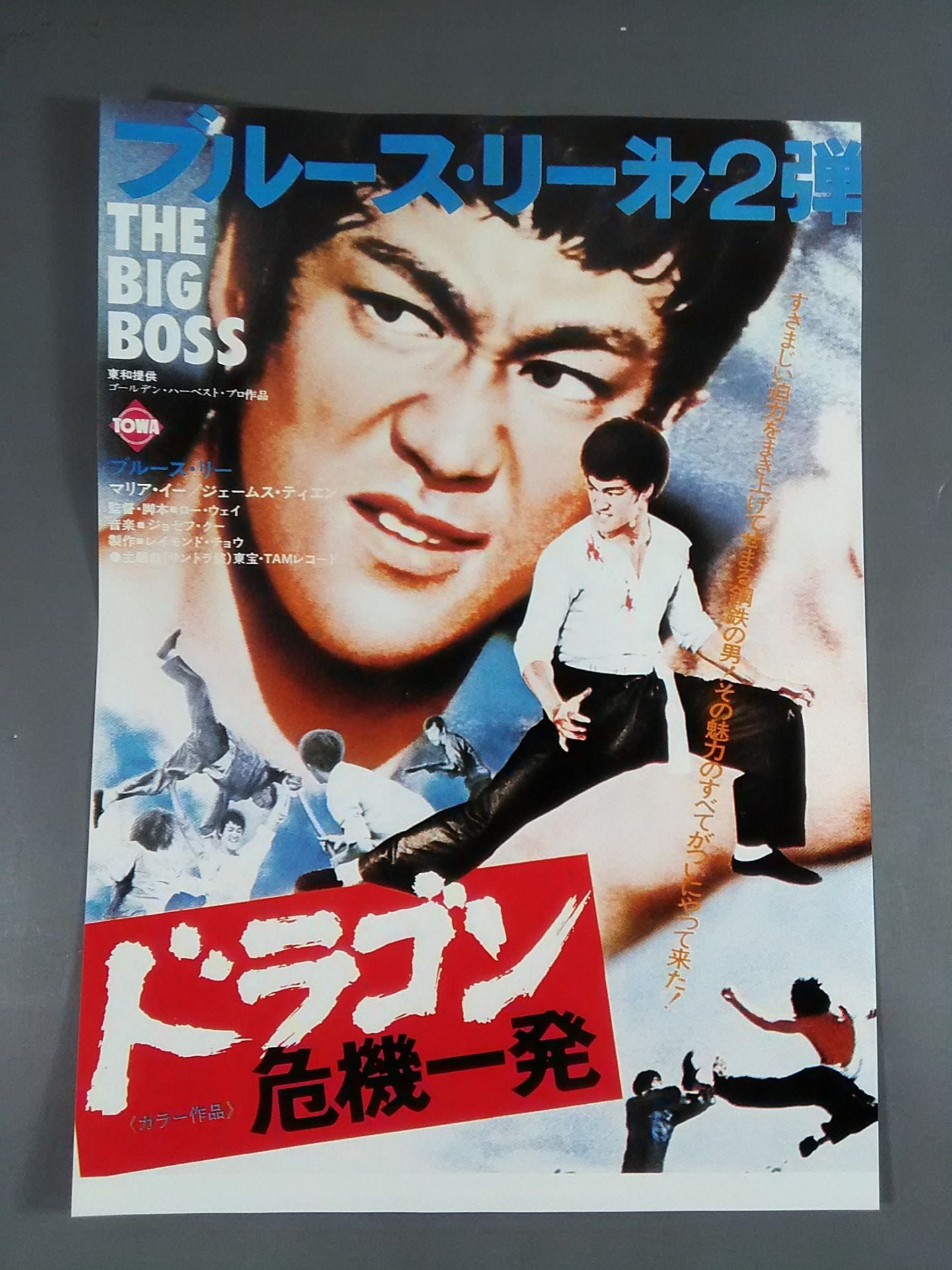 Movie Flyer Dragon Crisis [Normal Edition]