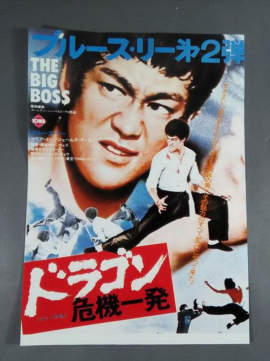 Movie Flyer Dragon Crisis [Normal Edition]