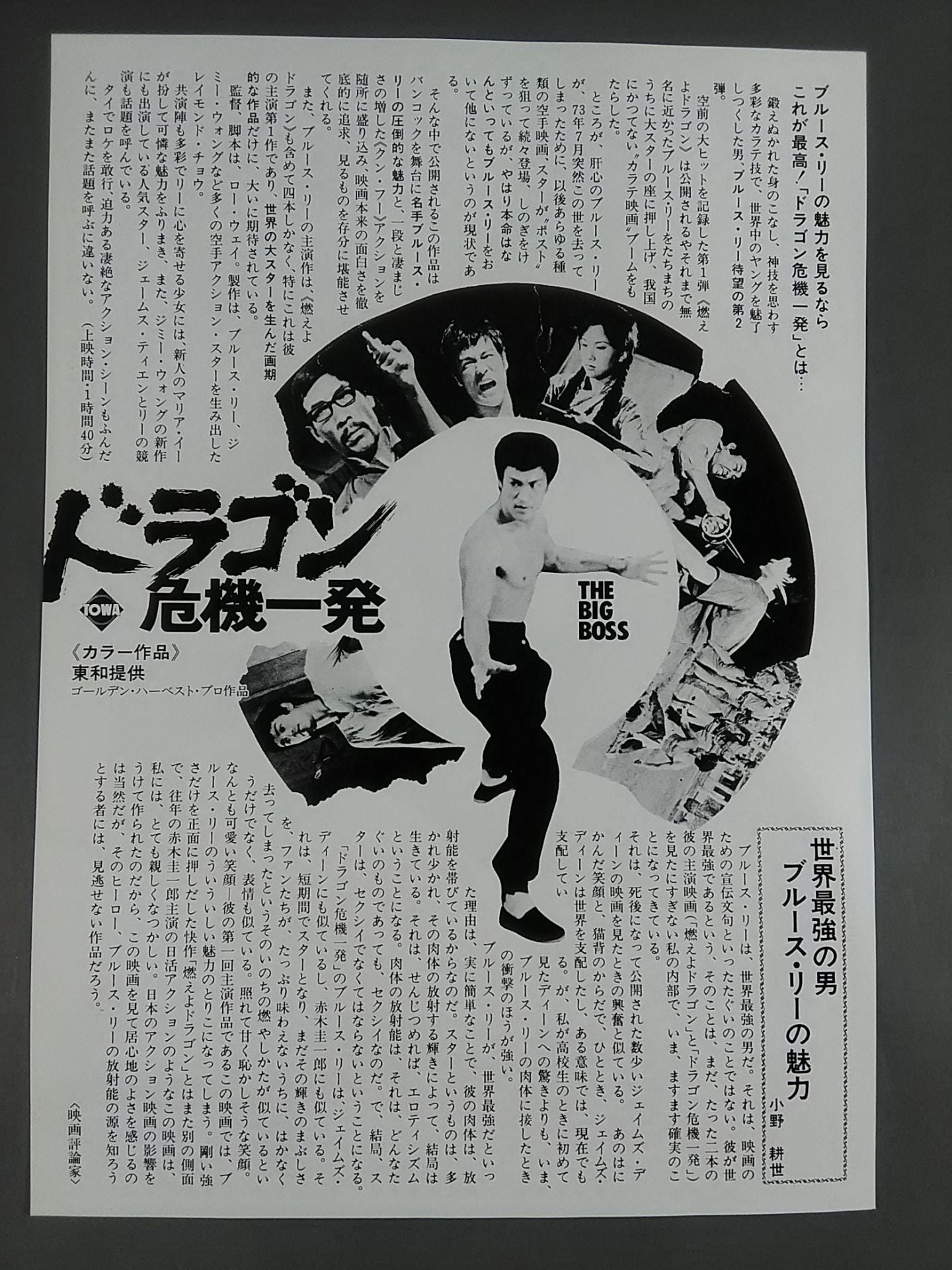 Movie Flyer Dragon Crisis [Normal Edition]
