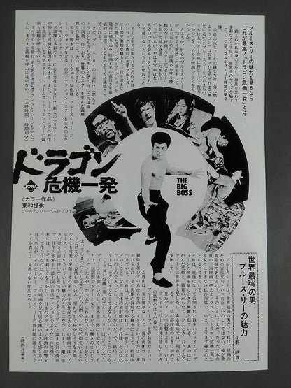 Movie Flyer Dragon Crisis [Normal Edition]