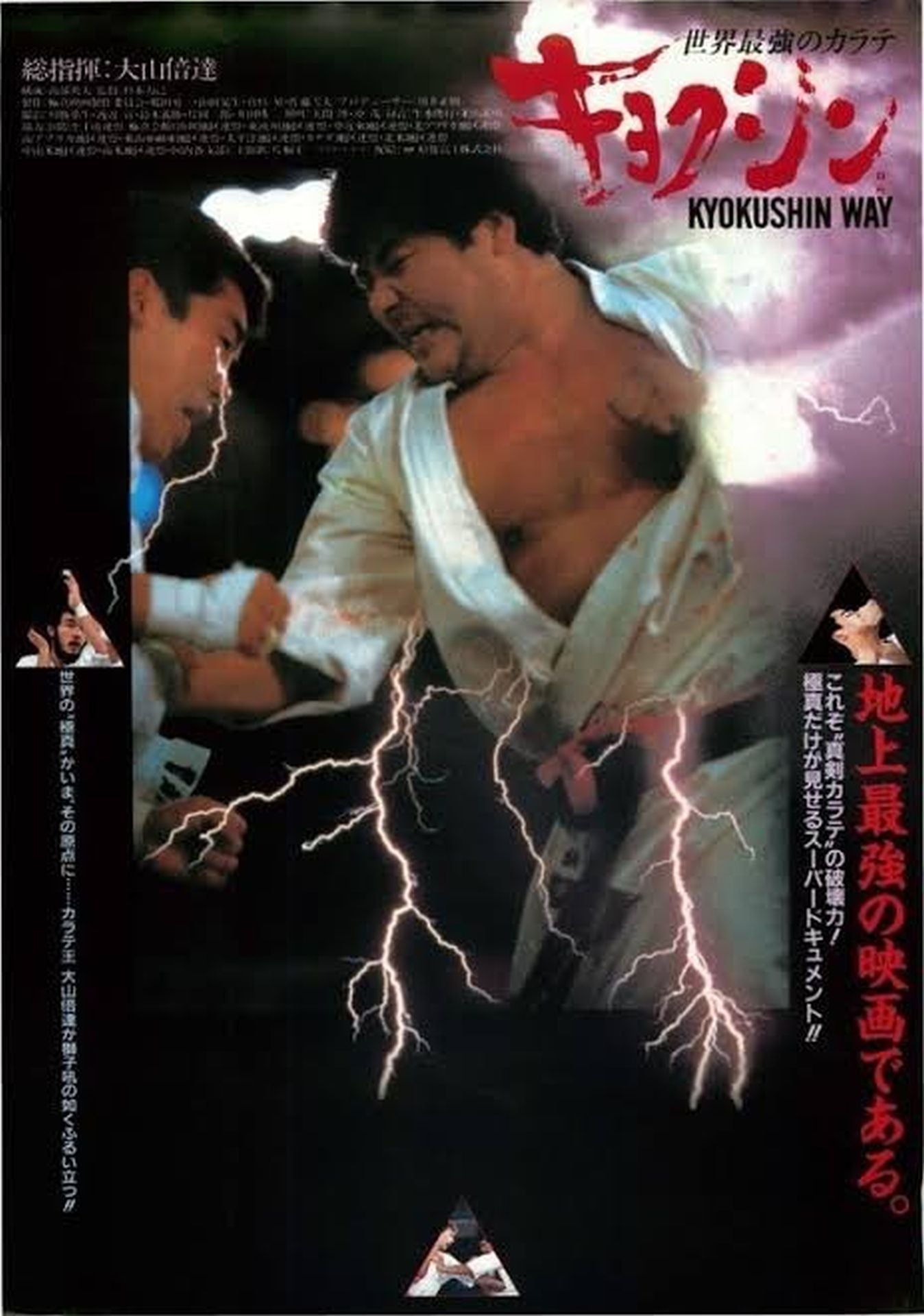 ★ Kyokushin ★ Masaho Noro Large-format calligraphy