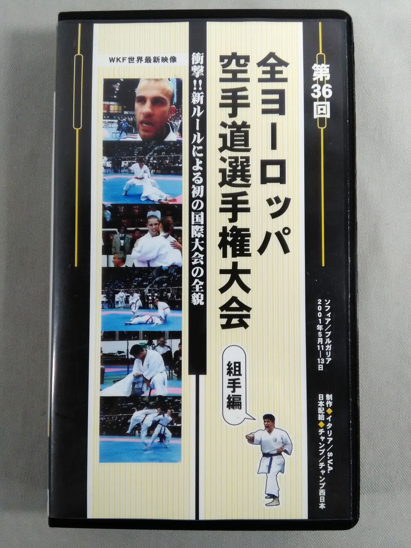 第36回 全ヨーロッパ空手道選手権大会 組手編