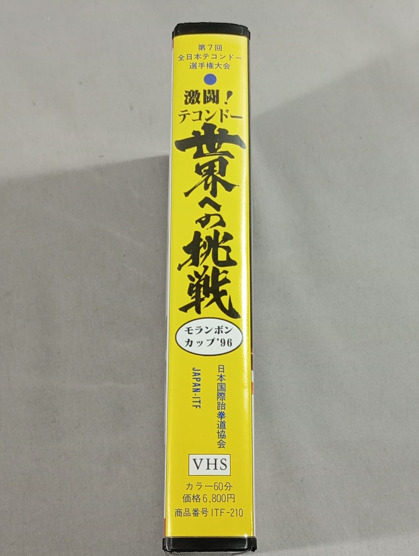 Fierce fighting! Taekwondo Challenge to the World Molampong Cup 96