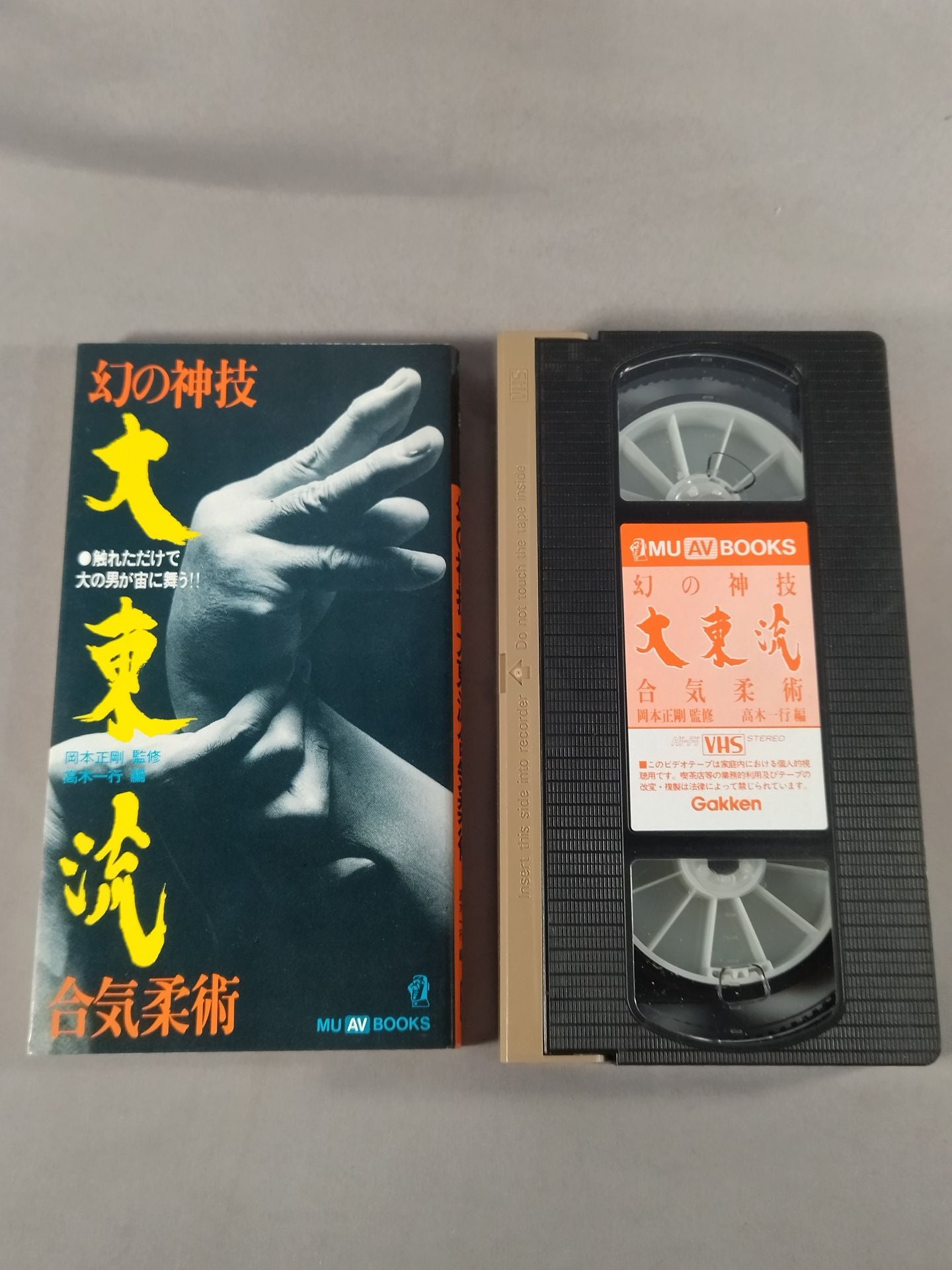 Phantom Divine Technique Daito-ryu Aiki Jujutsu