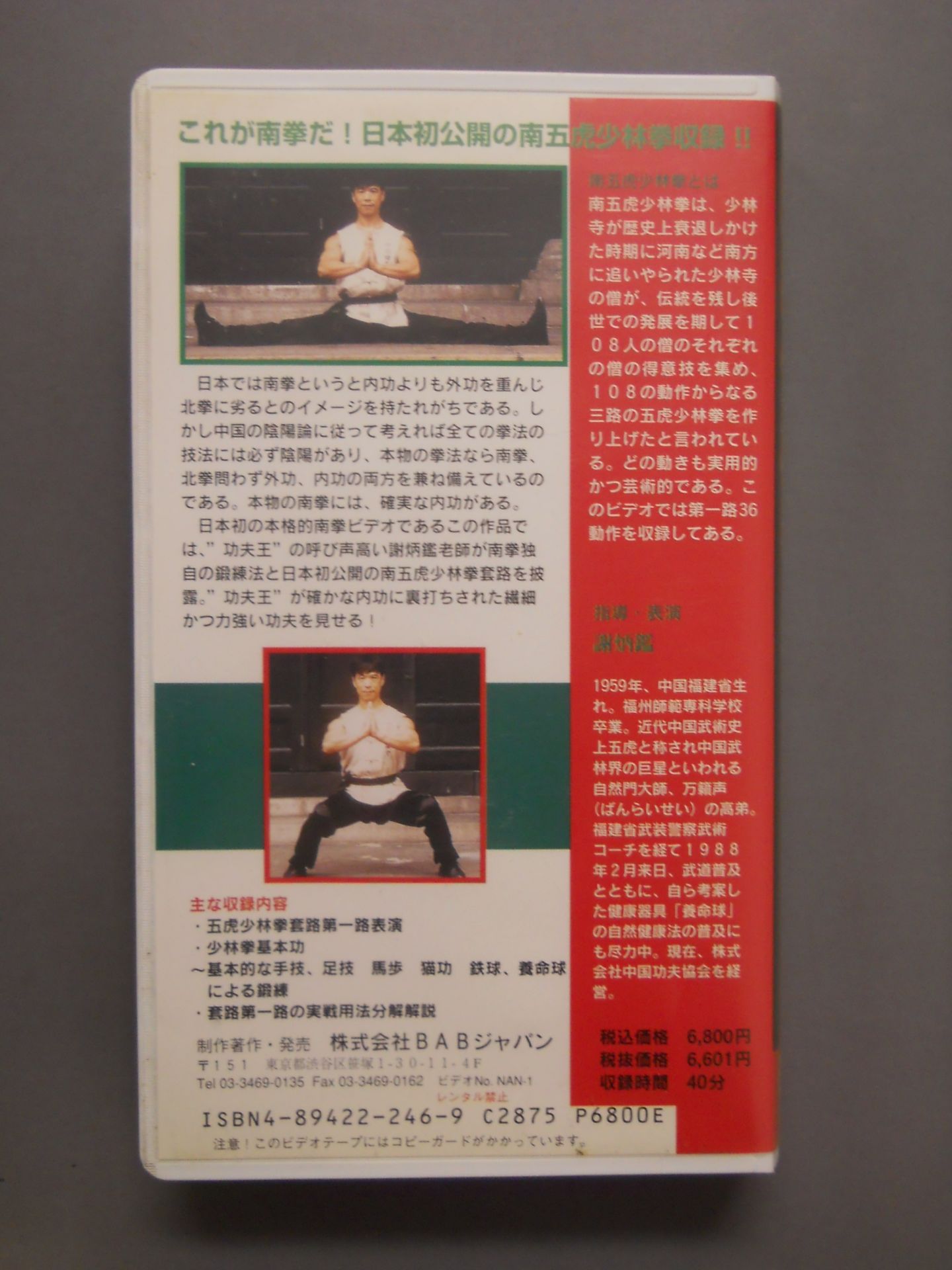 功夫王 謝炳鑑老師の南派少林拳